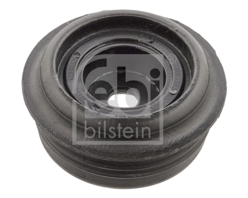 Suspension Strut Support Mount